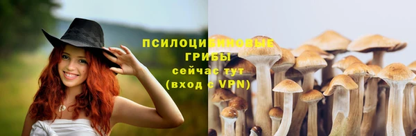 круглые Арсеньев