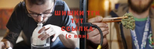 сатива Пестово