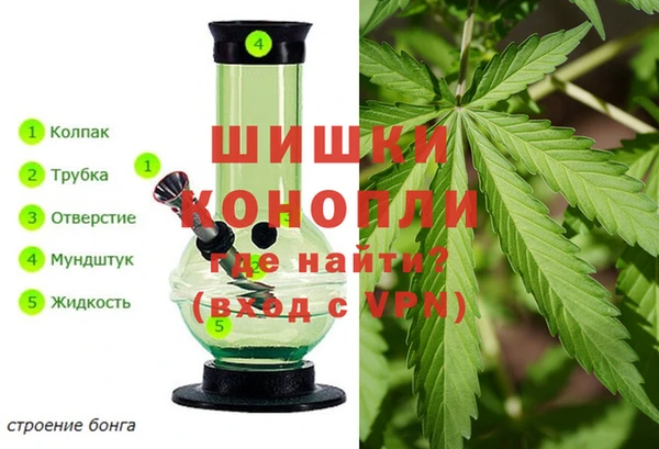 дурь Аркадак