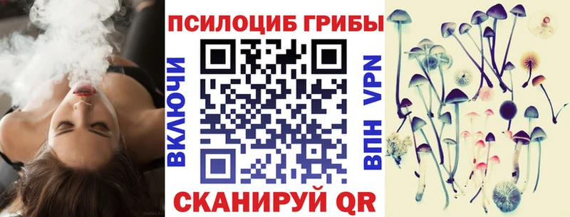 где продают   Сураж  Псилоцибиновые грибы мухоморы 